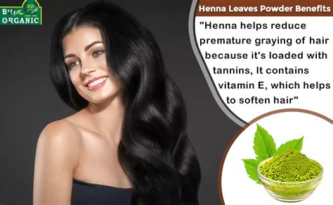 Buy Sign GOLD HEENA Leaf Powder for hair Online at Low Prices in India ...