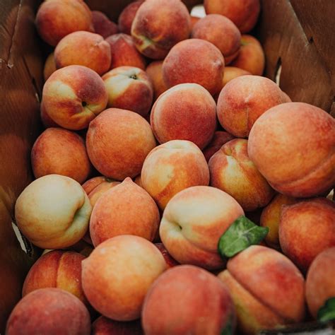 The Peach Truck, 15853 North Fwy, Fort Worth, TX, United States, Texas ...