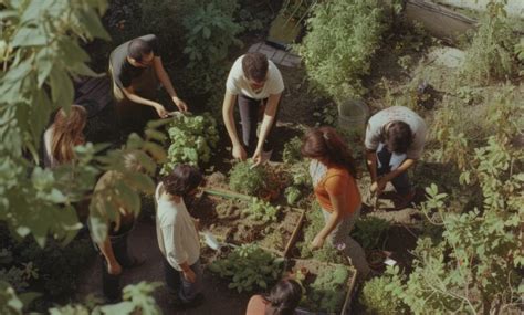 Image result for Rural Development Initiatives