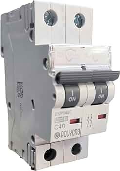 Polycab PVC Plastic 40 Amp DP Mini MCB - Dual Pole, C Curve, Low ...