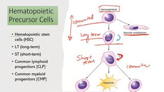 Ace Achievers Dental Academy Online Examination Platform