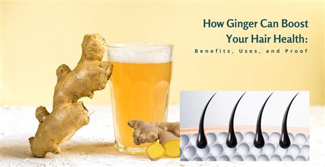 How Ginger Can Boost Your Hair Health: Benefits And Uses | Clinikally