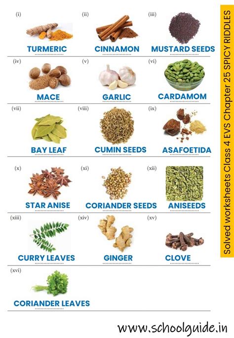 Solved Worksheet Ch 25 Spicy Riddles