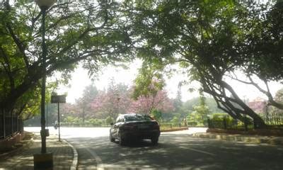 Mapillary Vistas - Dataset Ninja