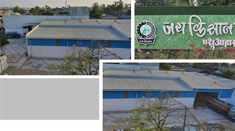 Amul Dairy & its Satellite Units