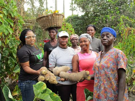 Women and youth empowerment: a key to ensuring food security – UN Committee on World Food ...