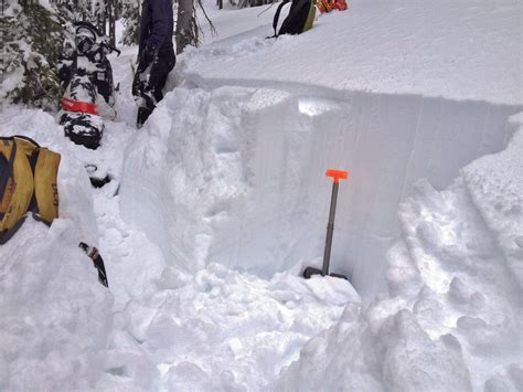 Image result for Programmer Digging a Pit