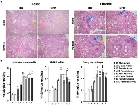 Diets Differently Regulate Pulmonary Pathogenesis and Immune Signaling ...