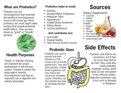 Do Probiotics Cause Gas