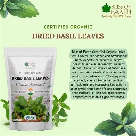 Tulsi Holy Basil Tea Benefits Discounts Order | www.oceanproperty.co.th
