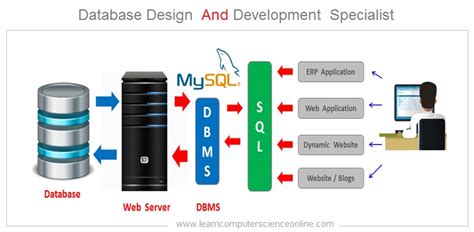 Database Design for Beginners 的图像结果