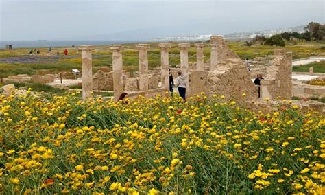 Paphos Tourism (2024): Best of Paphos, Cyprus - Tripadvisor