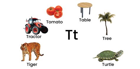 Sound of T 的图像结果
