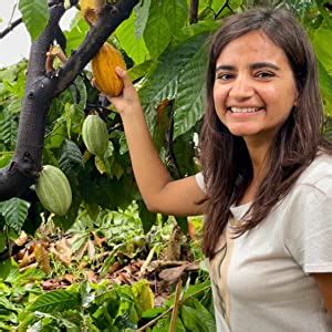 Tiggle Jaggery Dark Hot Chocolate Powder Mix - 10 Cups Pack|Only 66 ...