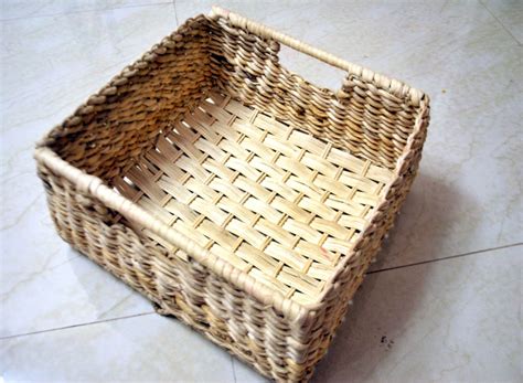 D'source Products | Banana Stem | D'Source Digital Online Learning ...