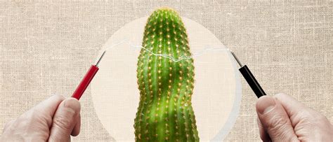 Pelvic Floor Male Tens Unit Pad Placement For Ed | Viewfloor.co