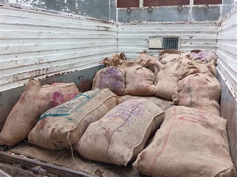 Police raid illegal slaughterhouse in Mudarda seam, seize 400 kg of ...