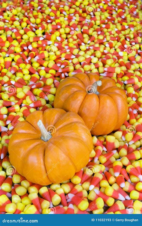 Mini Pumpkins in Candy Corn Stock Image - Image of candy, harvest: 11032193