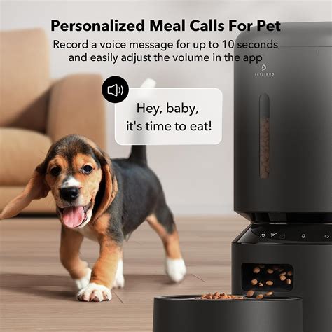 Best Pet Cameras for Best Pet Security - Pets Rearing