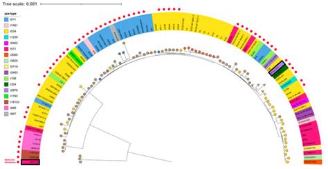 Novel Variants of SCCmec Type IX Identified in Clonal Complex 398 ...