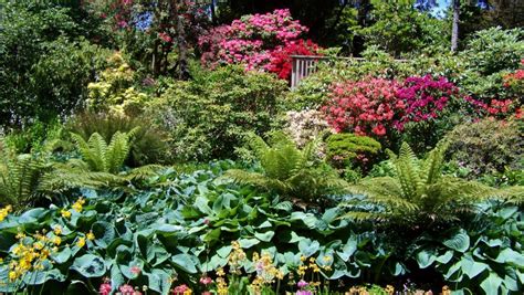Hollard Gardens | Activities & Day Trips in Taranaki, New Zealand