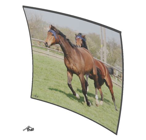 Image result for Curved Monitor View Graph