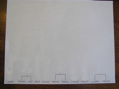 Image result for How to Make a Dendrogram