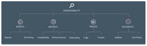 Image result for Observability Capture Template