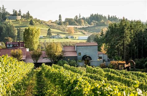 Rex Hill Winery Oregon