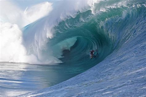 Image result for Wave Button Animation. CSS