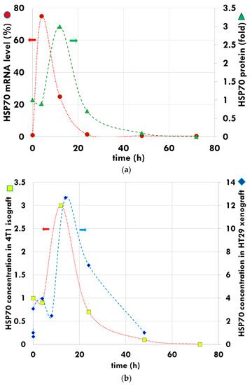 Forcing the Antitumor Effects of HSPs Using a Modulated Electric Field