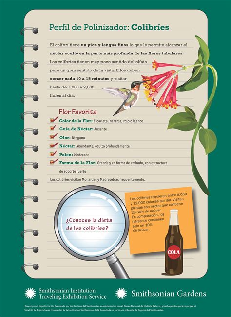 Image result for Insect Pollination Poster