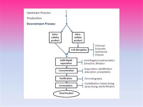 Downstream Processing Procedure 的图像结果