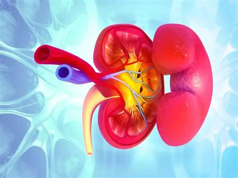 Urologist explains how to spot kidney problems early by checking urine ...