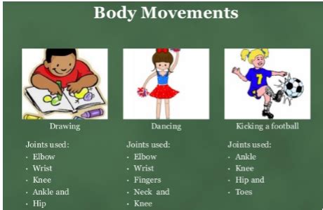 Image result for Class 6 Science Body Movements