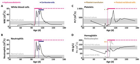 From Pancytopenia to Hyperleukocytosis, an Unexpected Presentation of ...