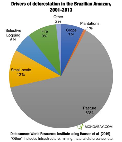 Amazon Rainforest Deforestation Chart at Tahlia Loyau blog