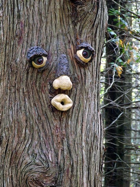 Image result for Minecraft Tree Face