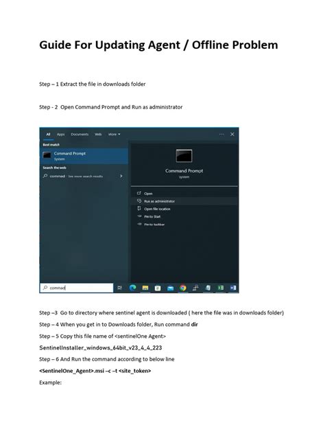 Image result for Sentinel Programming Software