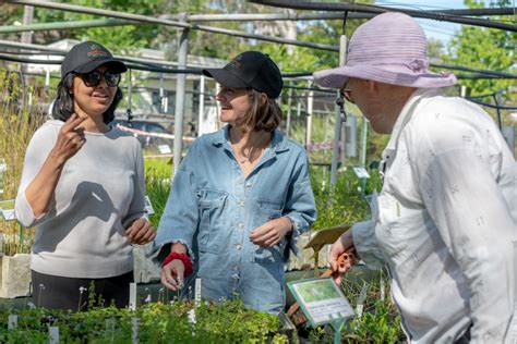 Volunteering 的图像结果