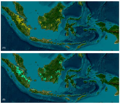 Evaluating Visible–Infrared Imaging Radiometer Suite Imagery for ...