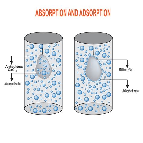 Absorption Vs Adsorption
