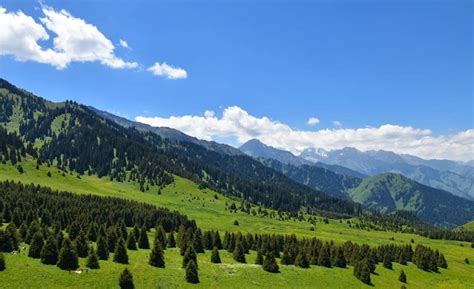 Плато Кок-Жайляу в Алматы (Казахстан) с фото и отзывами
