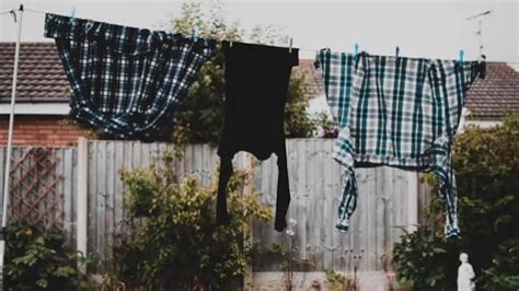 Image result for Free Loop Video Clips