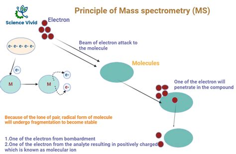 Image result for Mass Spectrometry Basics