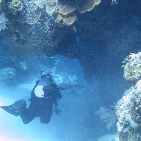 MACDONALD'S ARCH (Updated 2026) All You Need to Know BEFORE You Go ...