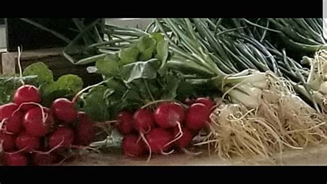 Union County Farmers Market, 125 E 6th St, Marysville, OH, 28 June 2025 ...