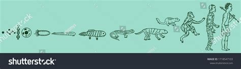 Image result for Fish Evolution Human Animation