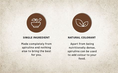 Urban Platter Pure Spirulina Powder - 300G : Amazon.in: Health ...