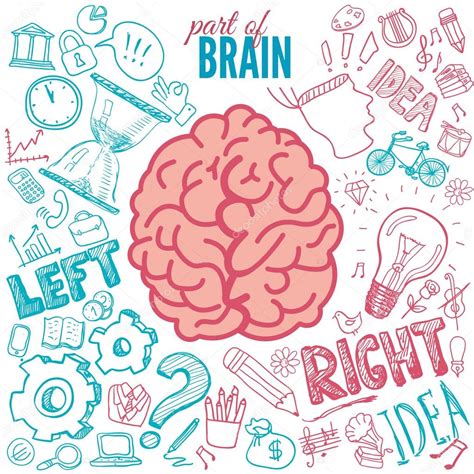 Right Brain Left Brain 的图像结果